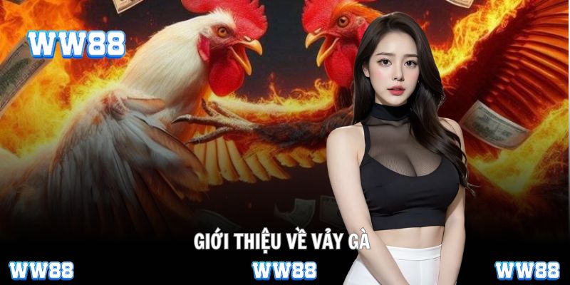 Lớp sừng trên chân tiết lộ bí mật sức mạnh ẩn