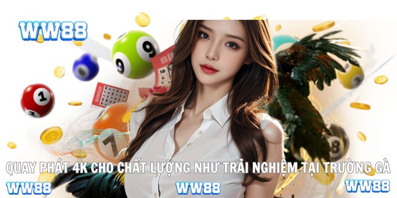 Quay phát 4K cho chất lượng như trải nghiệm tại trường gà