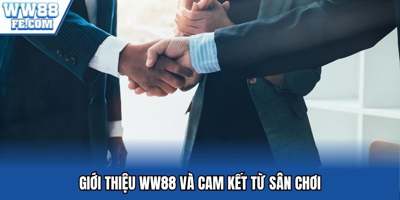 Giới thiệu WW88 và cam kết từ sân chơi