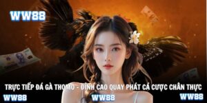 Trực tiếp đá gà Thomo